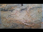 img/product/fusion-fascination-2026-3cb330bd_product_list_small.png